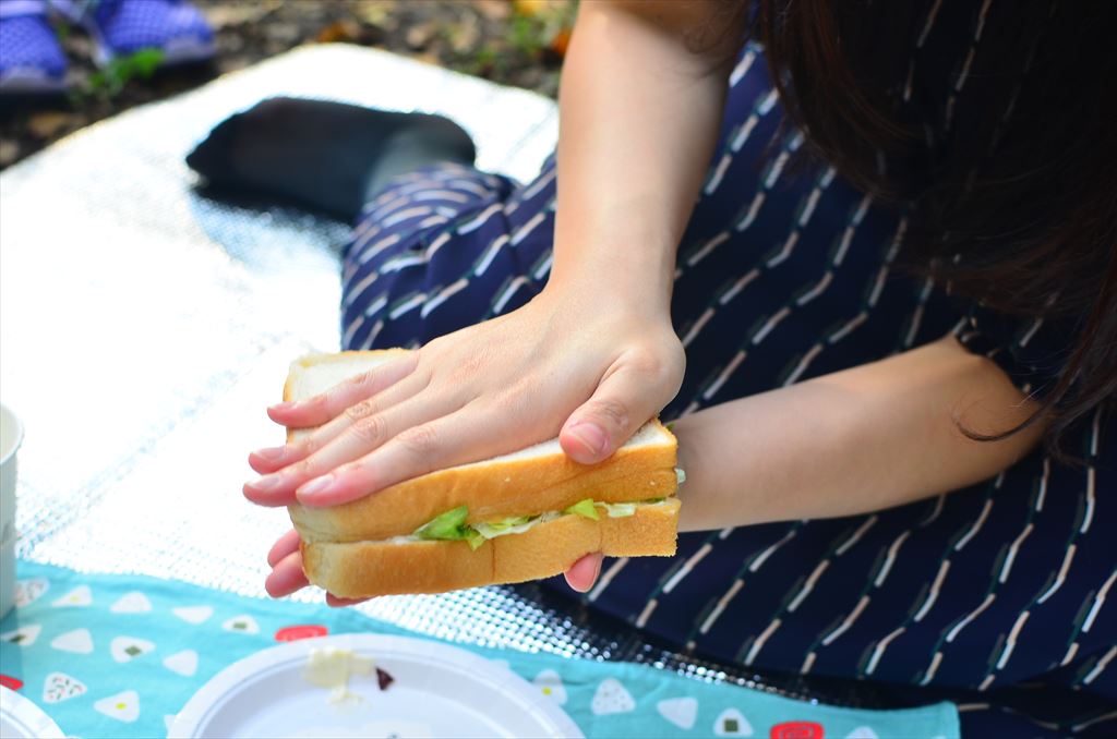 f:id:hachi-log:20181112143701j:plain