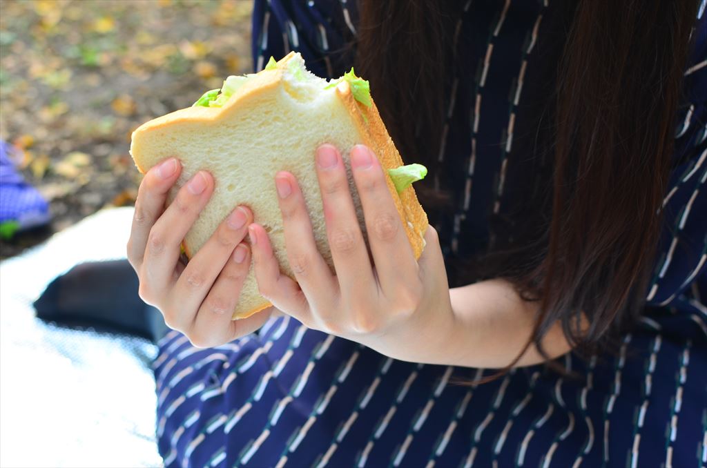 f:id:hachi-log:20181112143713j:plain