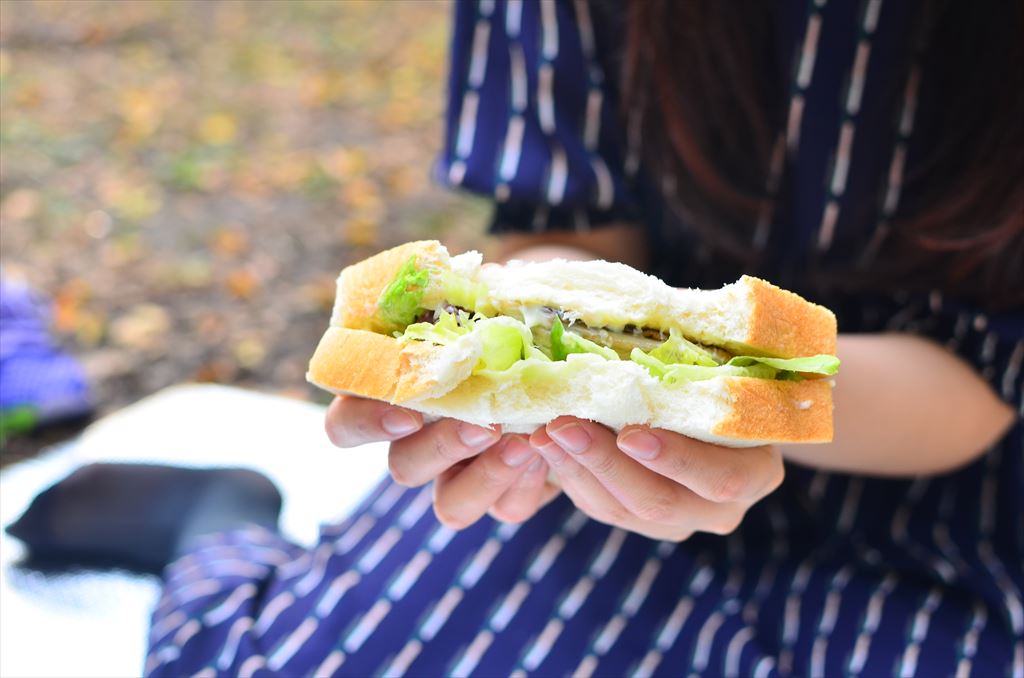 f:id:hachi-log:20181112143826j:plain