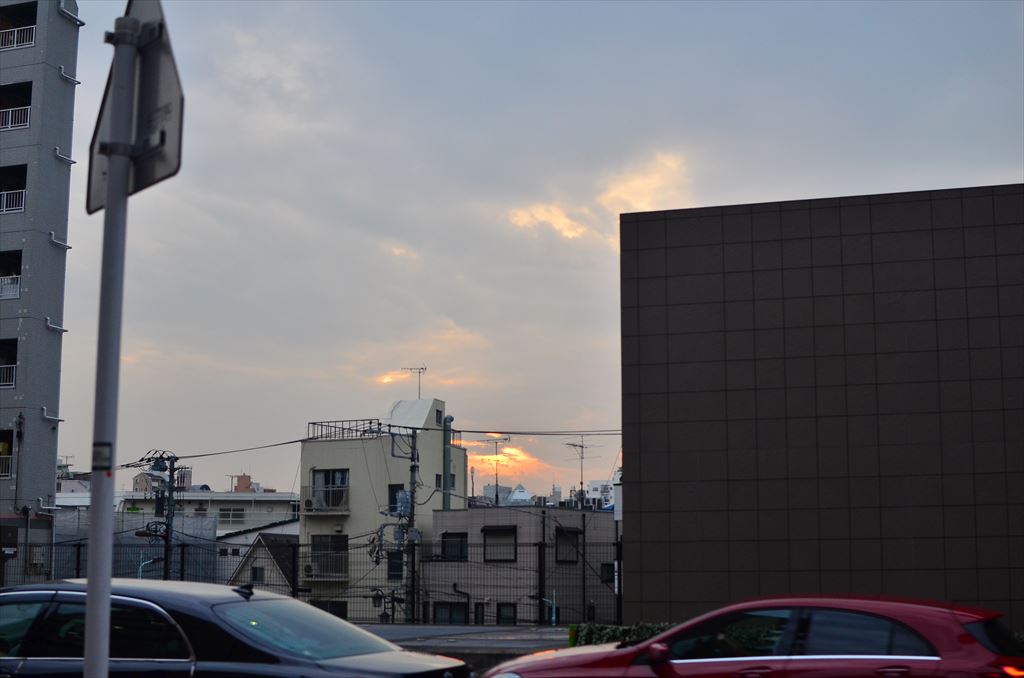 f:id:hachi-log:20181112160603j:plain