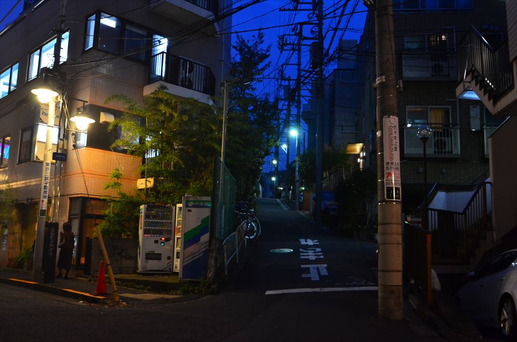 f:id:hachi-log:20181112165517j:plain
