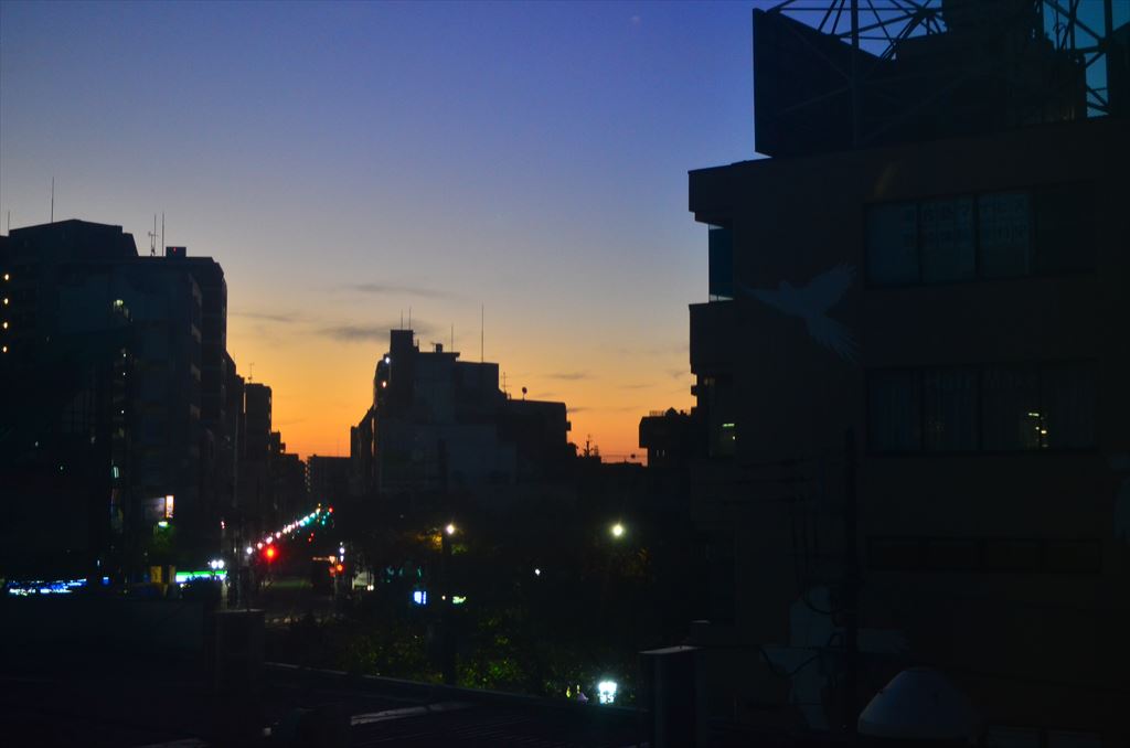 f:id:hachi-log:20181116055200j:plain f:id:hachi-log:20181116055200j:plain