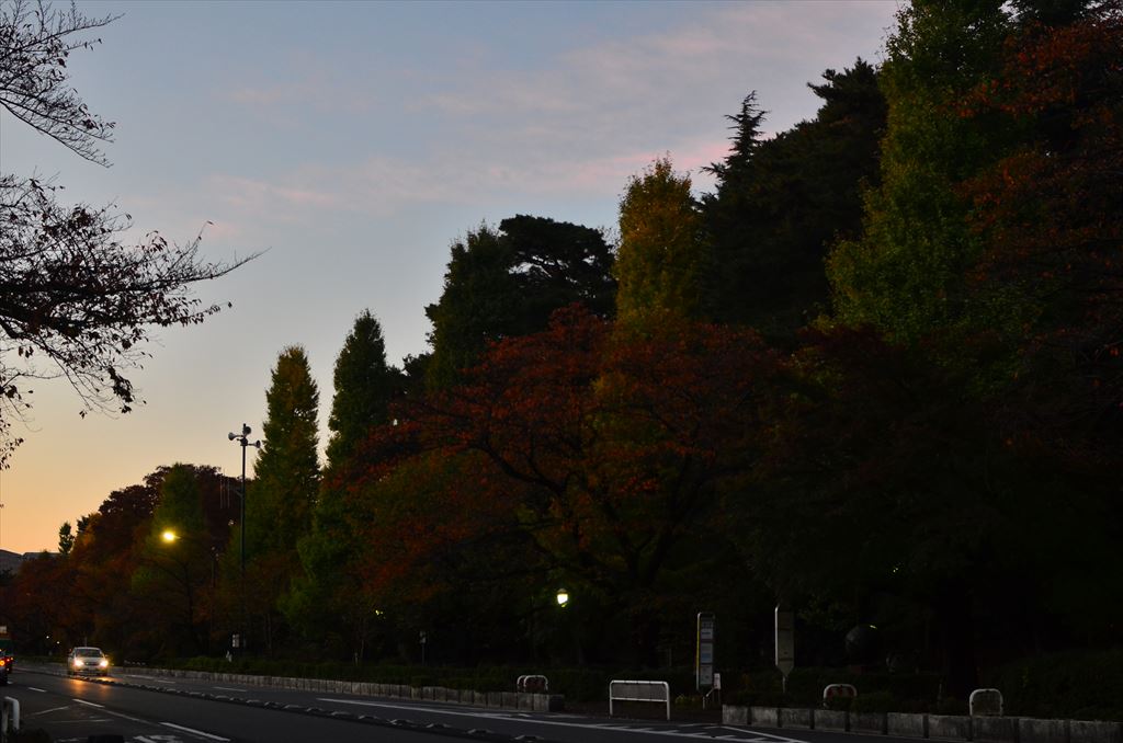 f:id:hachi-log:20181116060722j:plain f:id:hachi-log:20181116060722j:plain