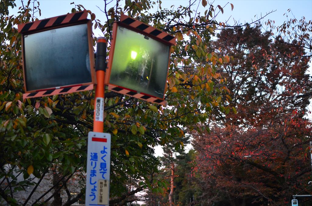 f:id:hachi-log:20181116061541j:plain f:id:hachi-log:20181116061541j:plain