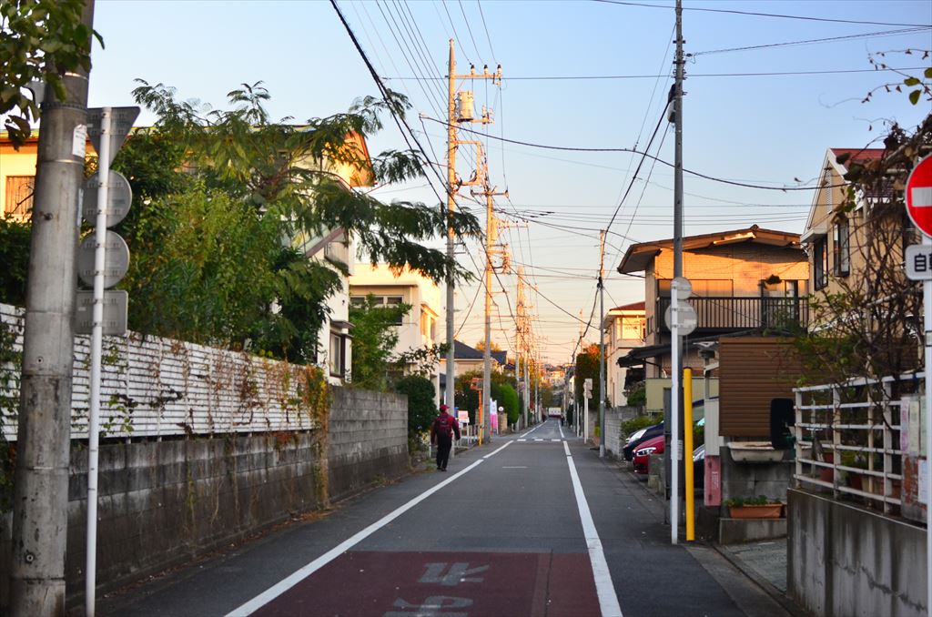 f:id:hachi-log:20181116063758j:plain f:id:hachi-log:20181116063758j:plain