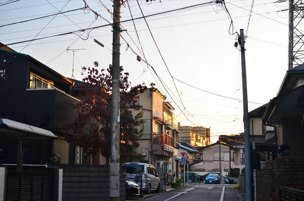 f:id:hachi-log:20181116063833j:plain f:id:hachi-log:20181116063833j:plain
