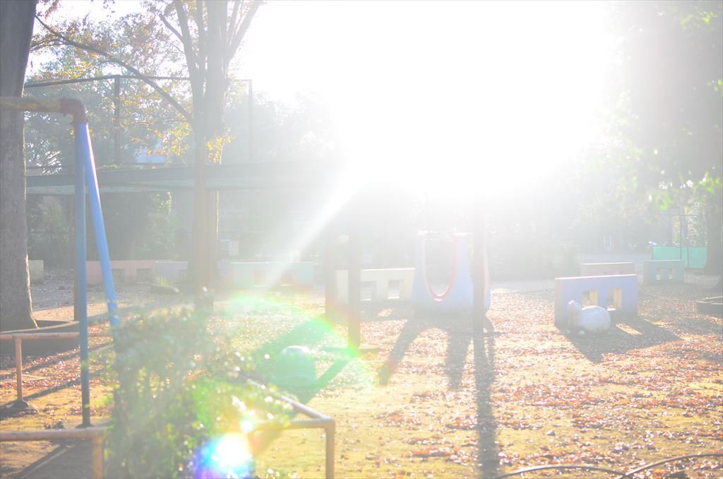 f:id:hachi-log:20181116071256j:plain f:id:hachi-log:20181116071256j:plain