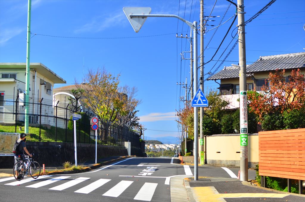 f:id:hachi-log:20181117121340j:plain