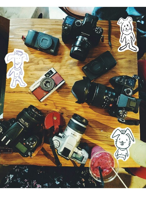 f:id:hachi-log:20181118211853j:image f:id:hachi-log:20181118211853j:image