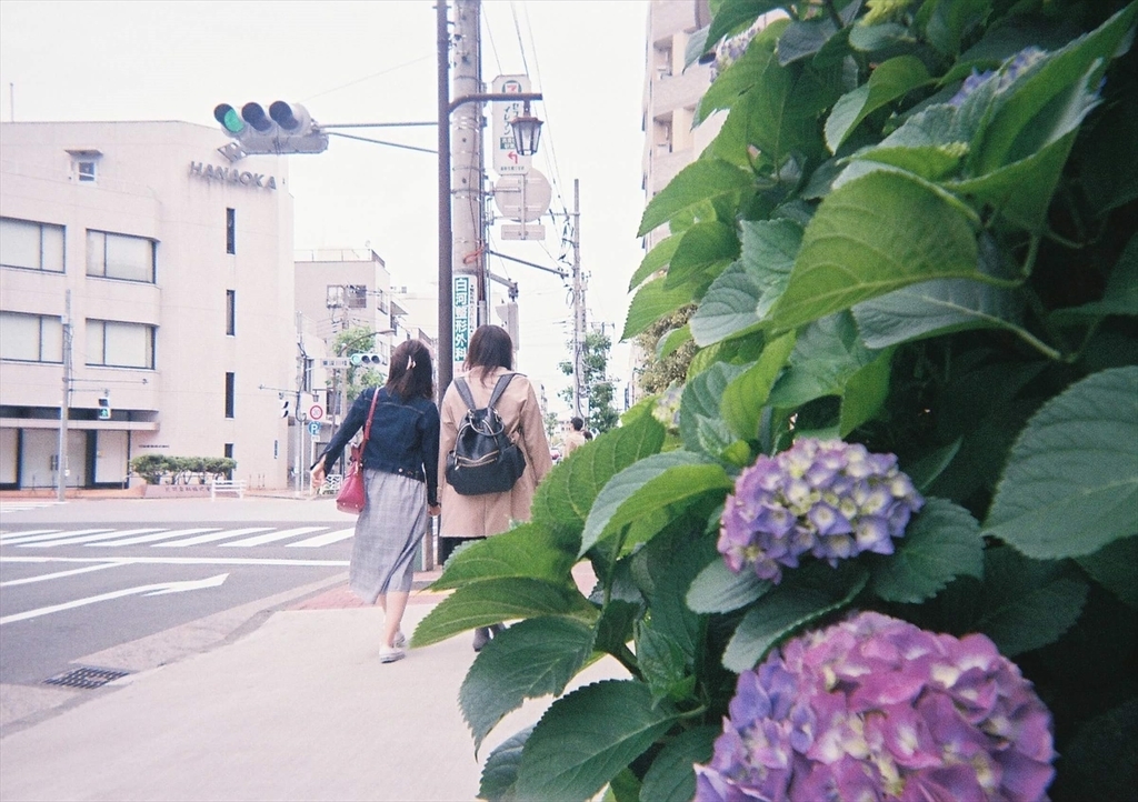 f:id:hachi-log:20181221060447j:plain