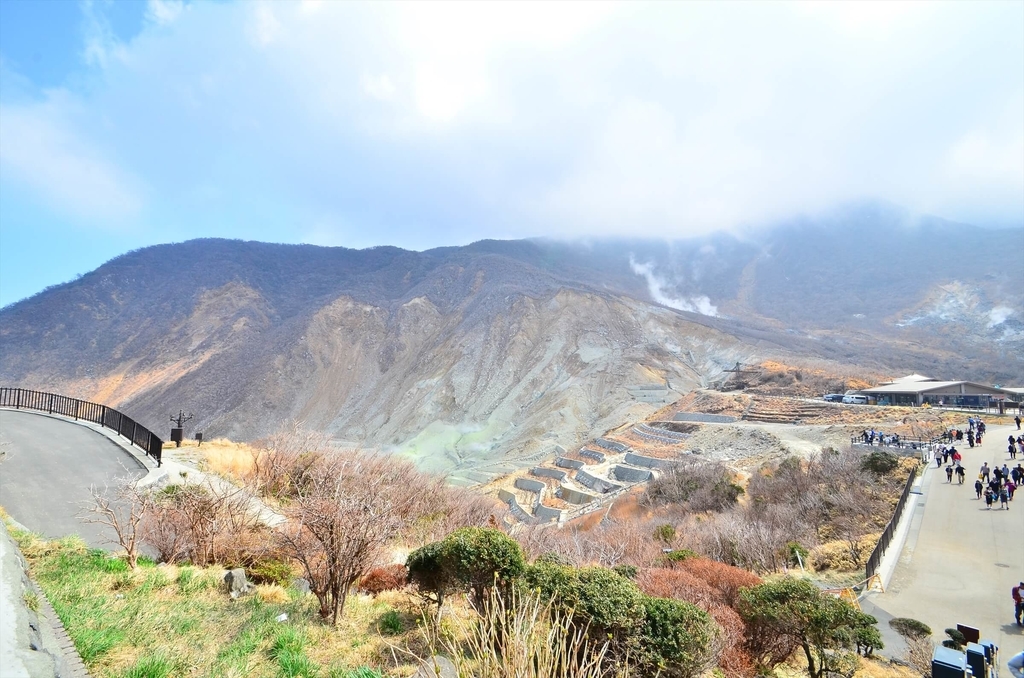 f:id:hachi-log:20181221062539j:plain