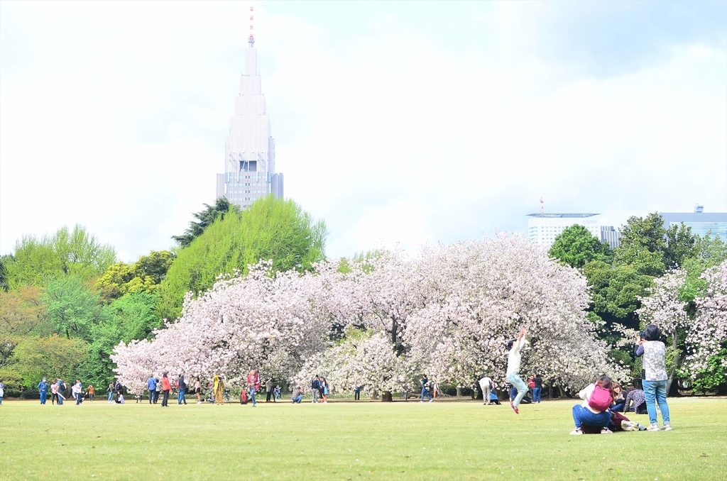 f:id:hachi-log:20181221062615j:plain