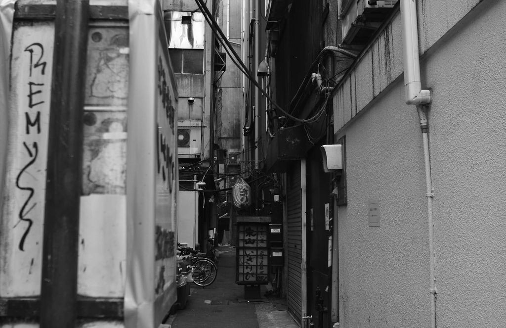 f:id:hachi-log:20181221062645j:plain