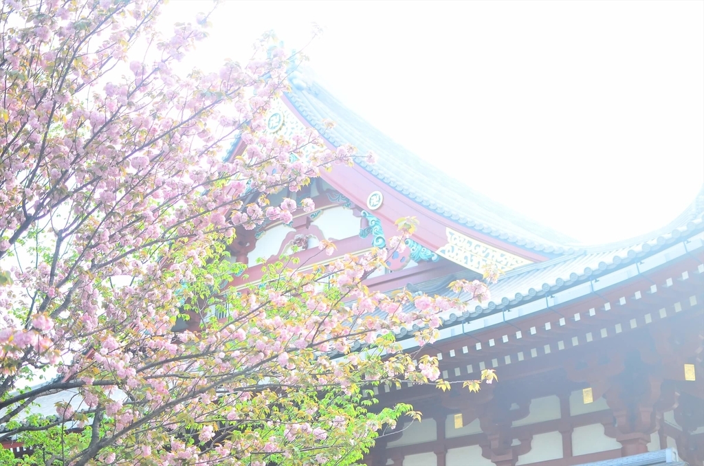 f:id:hachi-log:20181221063149j:plain