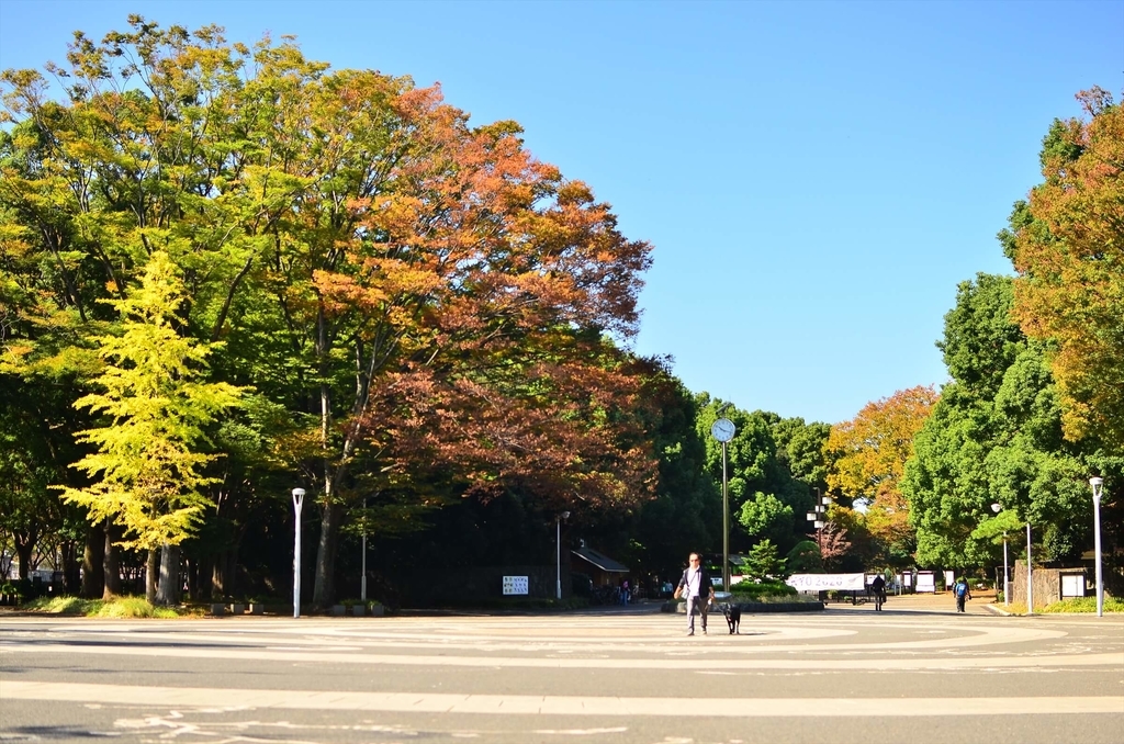 f:id:hachi-log:20181227081545j:plain