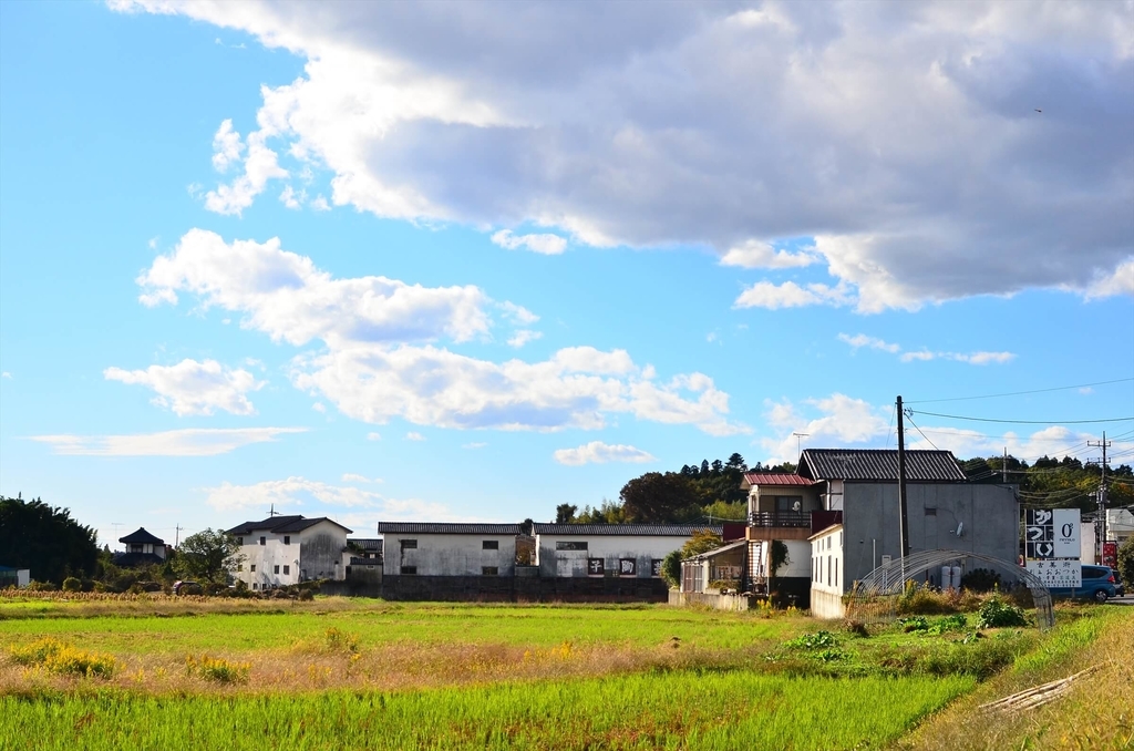 f:id:hachi-log:20181227081739j:plain