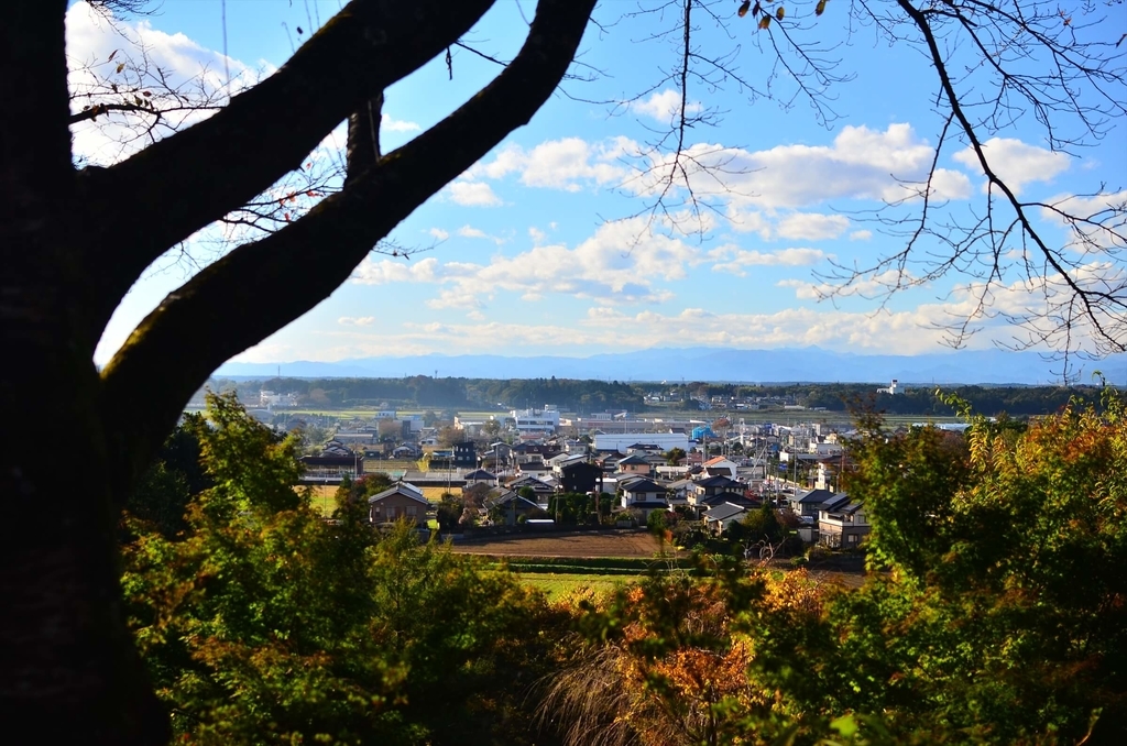f:id:hachi-log:20181227081753j:plain