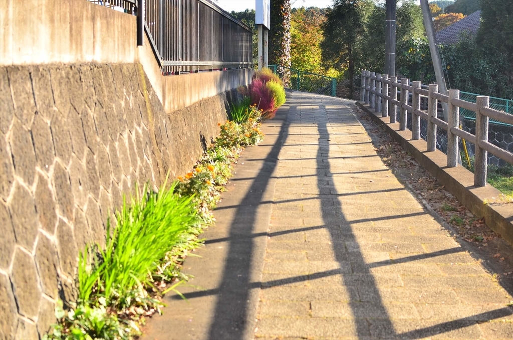 f:id:hachi-log:20181227081802j:plain