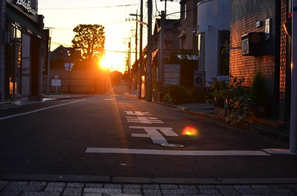 f:id:hachi-log:20181227081841j:plain