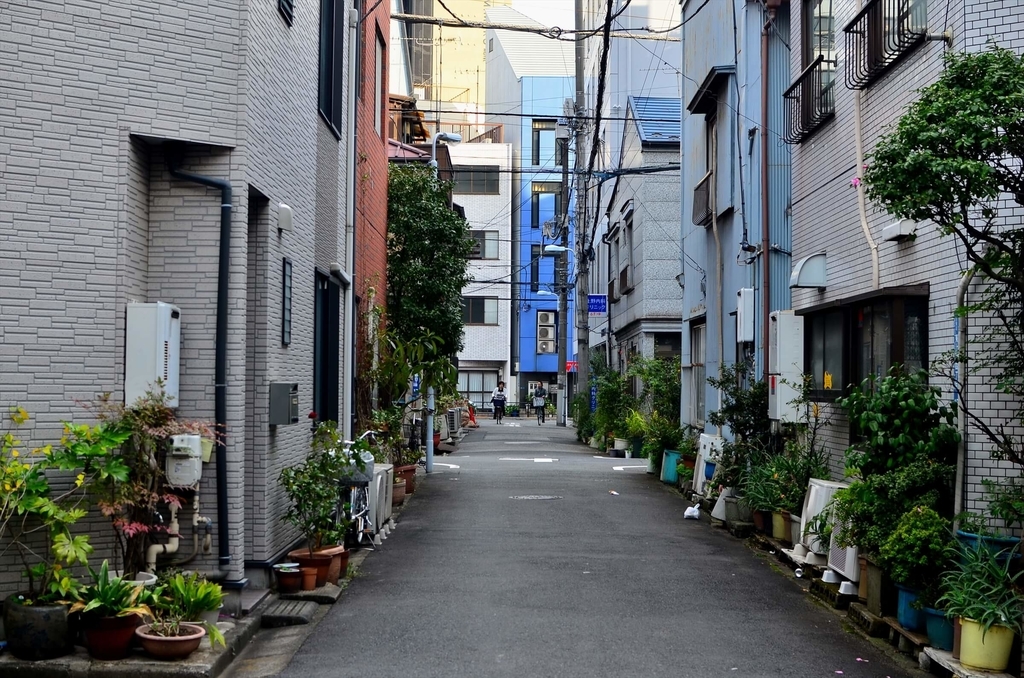 f:id:hachi-log:20181227082220j:plain