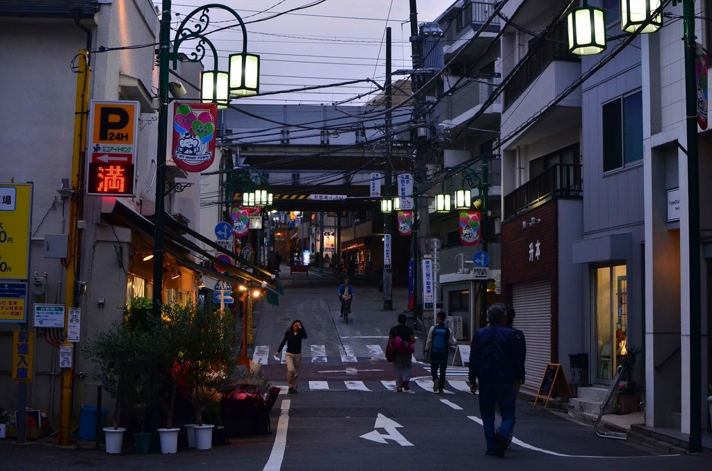 f:id:hachi-log:20181227082438j:plain