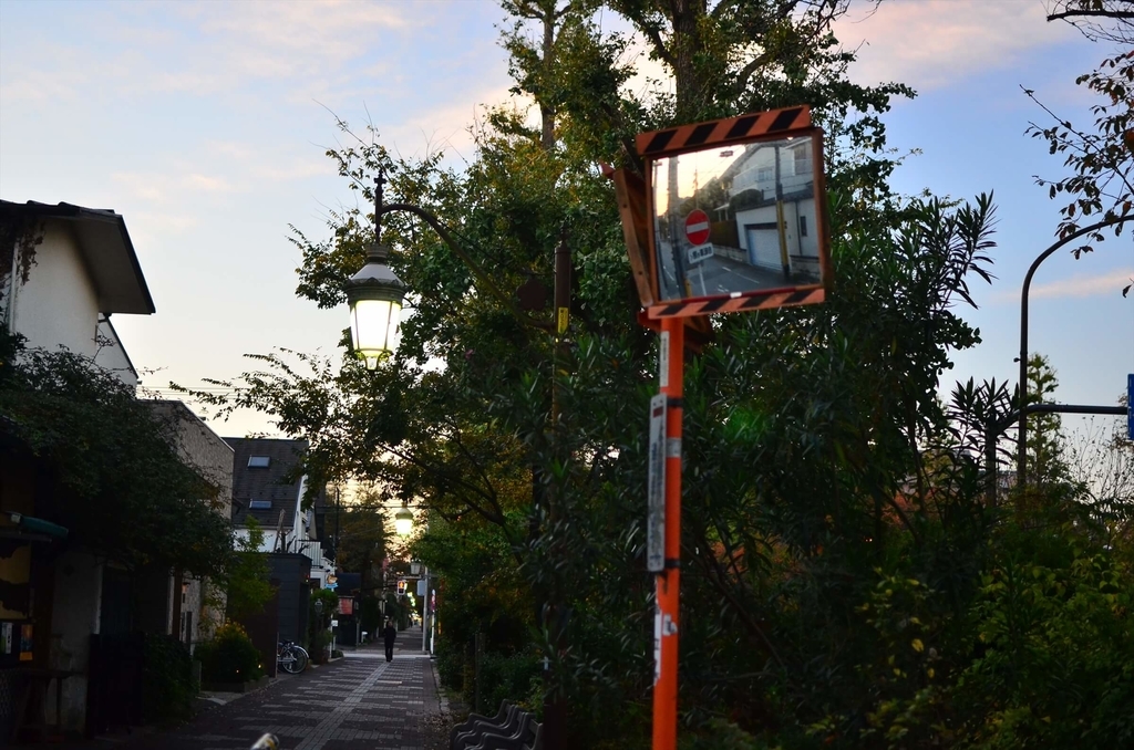 f:id:hachi-log:20181227082532j:plain