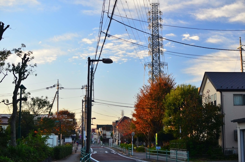 f:id:hachi-log:20181227082555j:plain