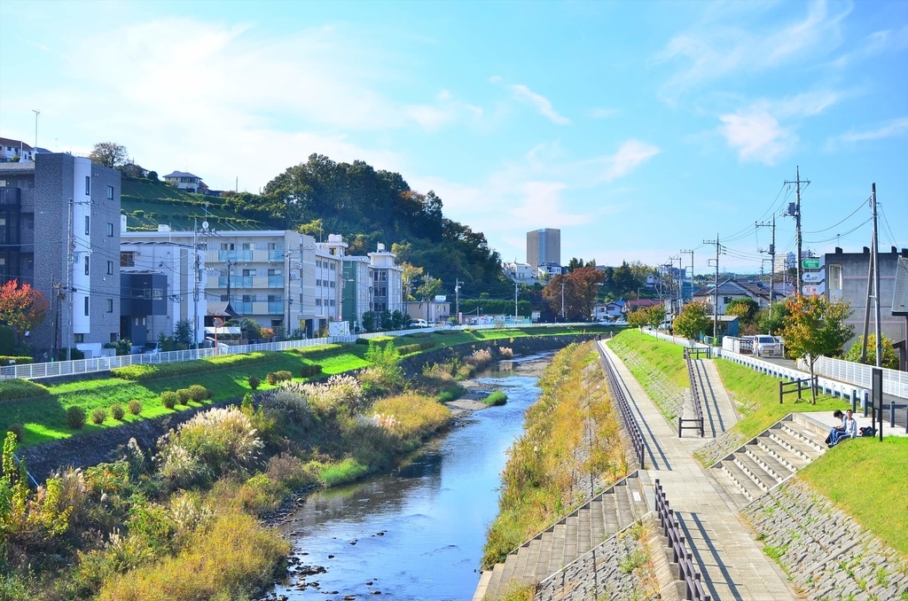 f:id:hachi-log:20181227082625j:plain