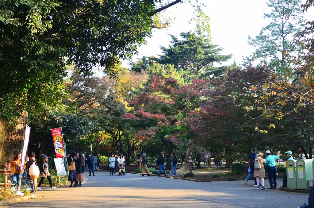 f:id:hachi-log:20181227082656j:plain