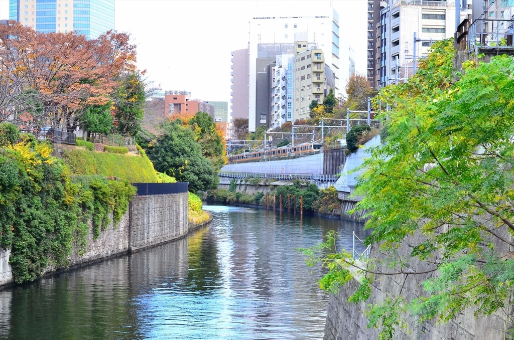 f:id:hachi-log:20181227082921j:plain