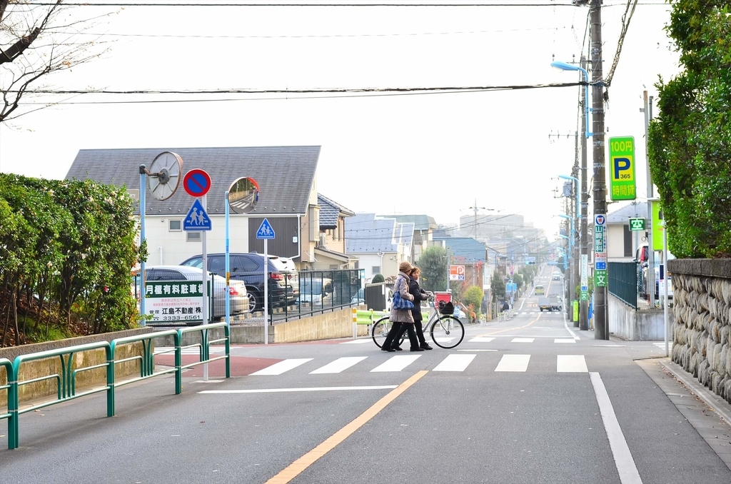 f:id:hachi-log:20181227083215j:plain