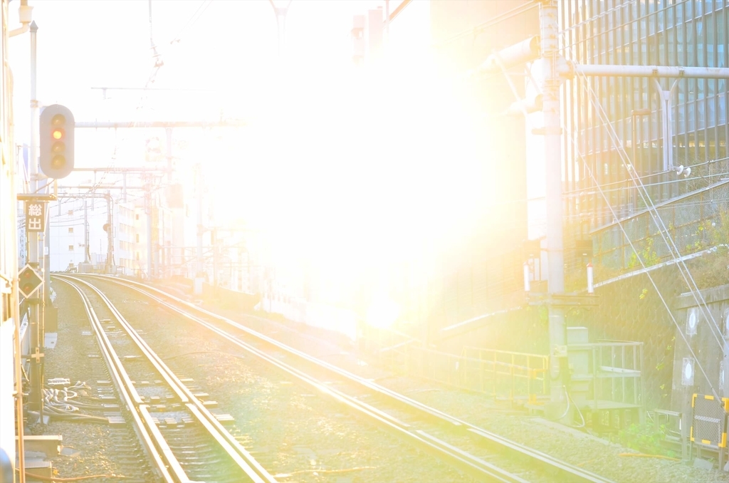 f:id:hachi-log:20181231221008j:plain f:id:hachi-log:20181231221008j:plain