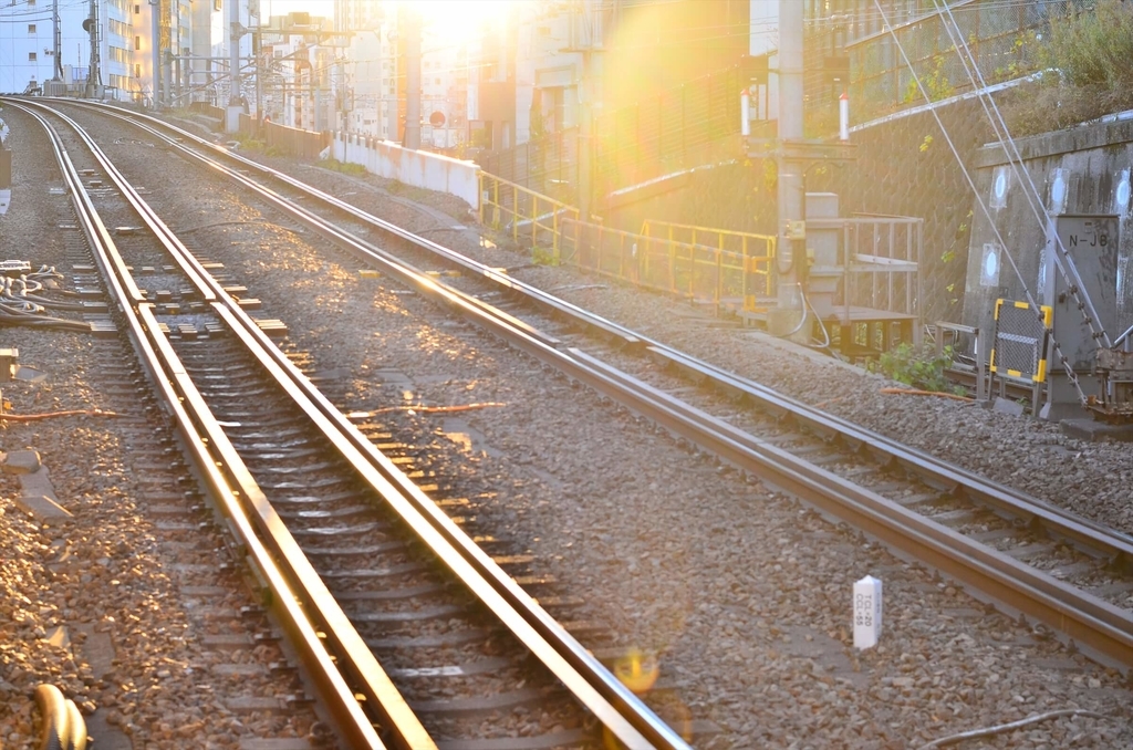 f:id:hachi-log:20181231221014j:plain f:id:hachi-log:20181231221014j:plain