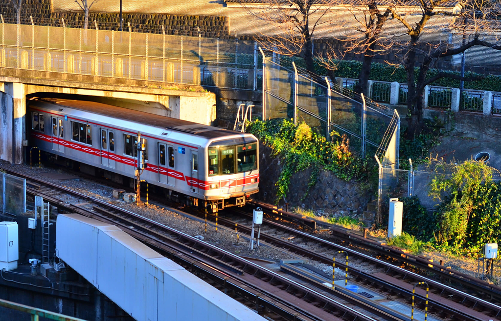 f:id:hachi-log:20181231221023j:plain f:id:hachi-log:20181231221023j:plain