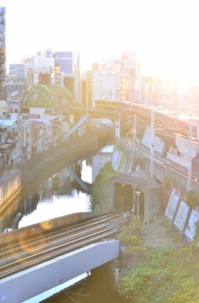 f:id:hachi-log:20181231221038j:plain f:id:hachi-log:20181231221038j:plain