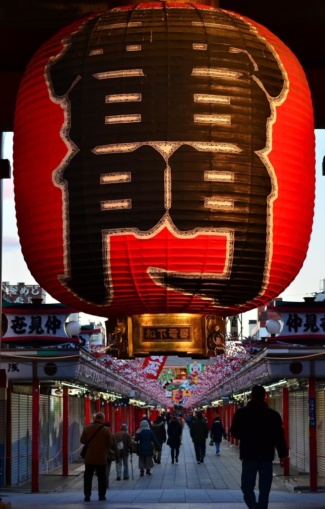f:id:hachi-log:20190103223727j:plain