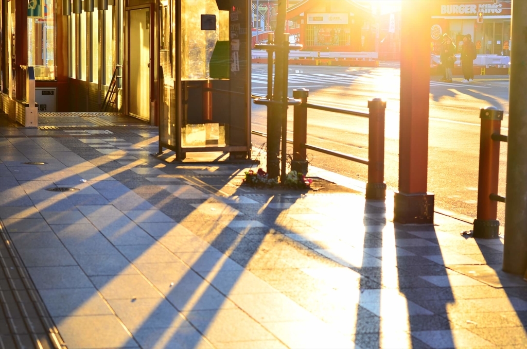 f:id:hachi-log:20190103223953j:plain