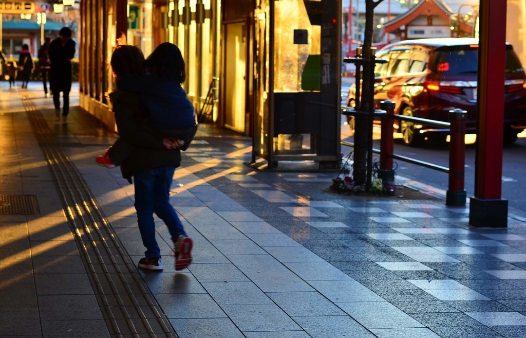 f:id:hachi-log:20190103224000j:plain