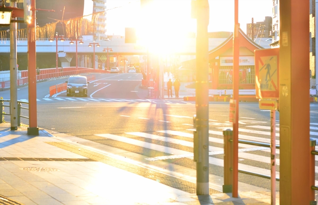 f:id:hachi-log:20190103224015j:plain