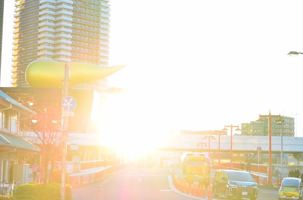 f:id:hachi-log:20190103224043j:plain
