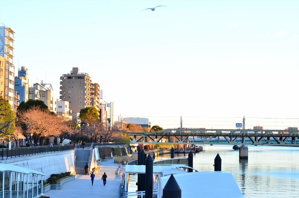 f:id:hachi-log:20190103224050j:plain