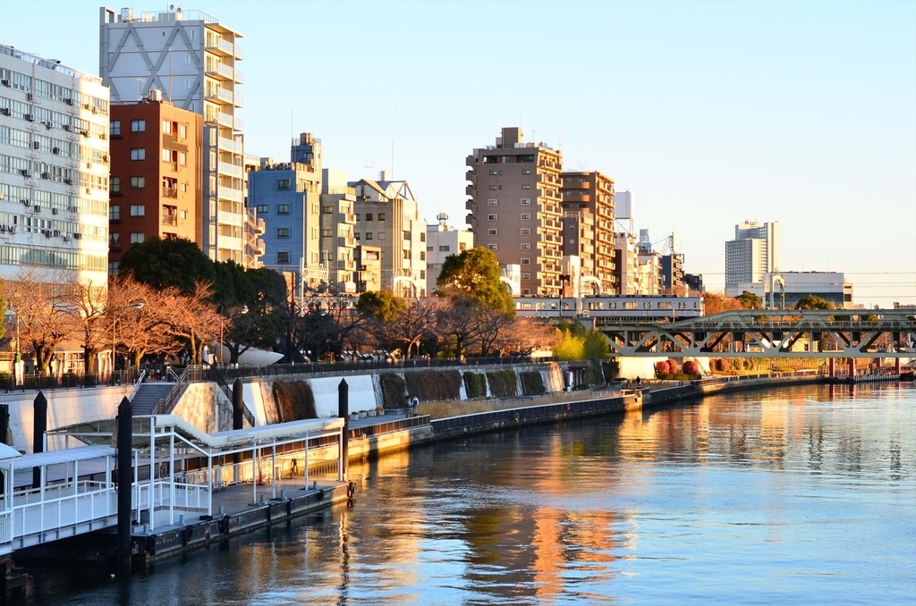 f:id:hachi-log:20190103224130j:plain