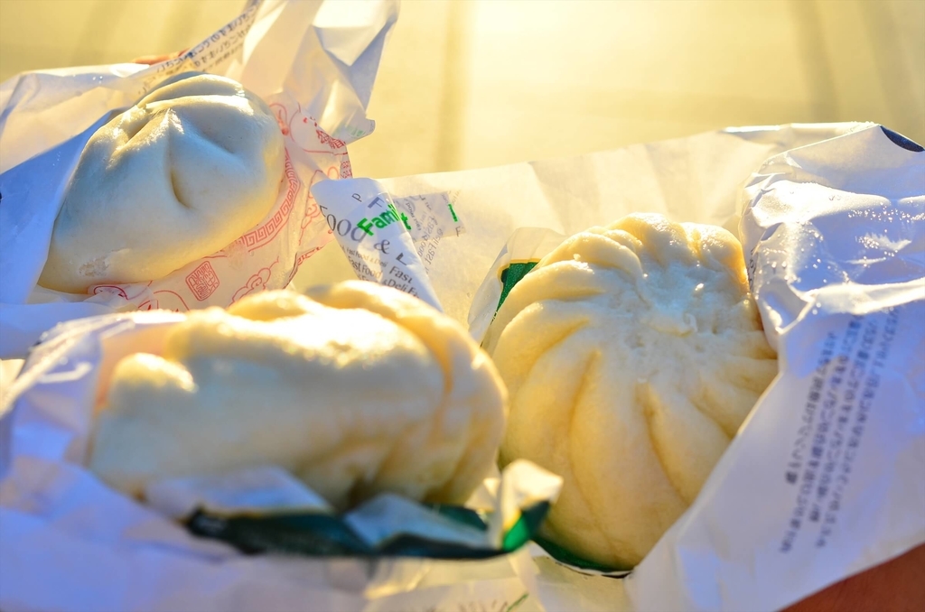 f:id:hachi-log:20190103224241j:plain