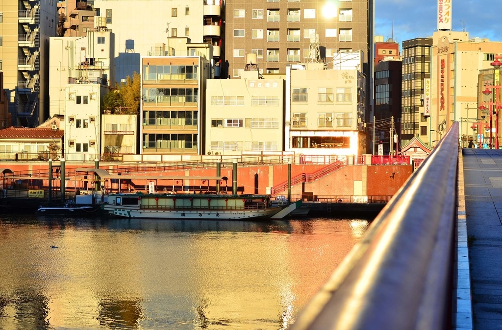 f:id:hachi-log:20190103224307j:plain