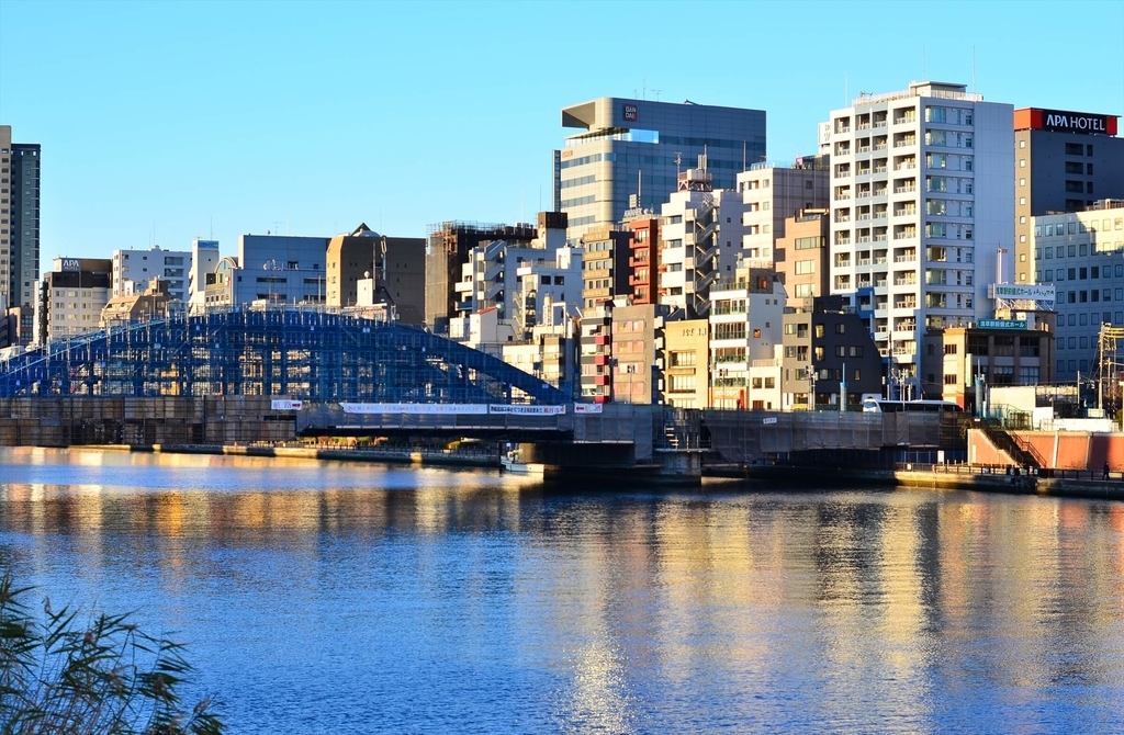 f:id:hachi-log:20190103224314j:plain