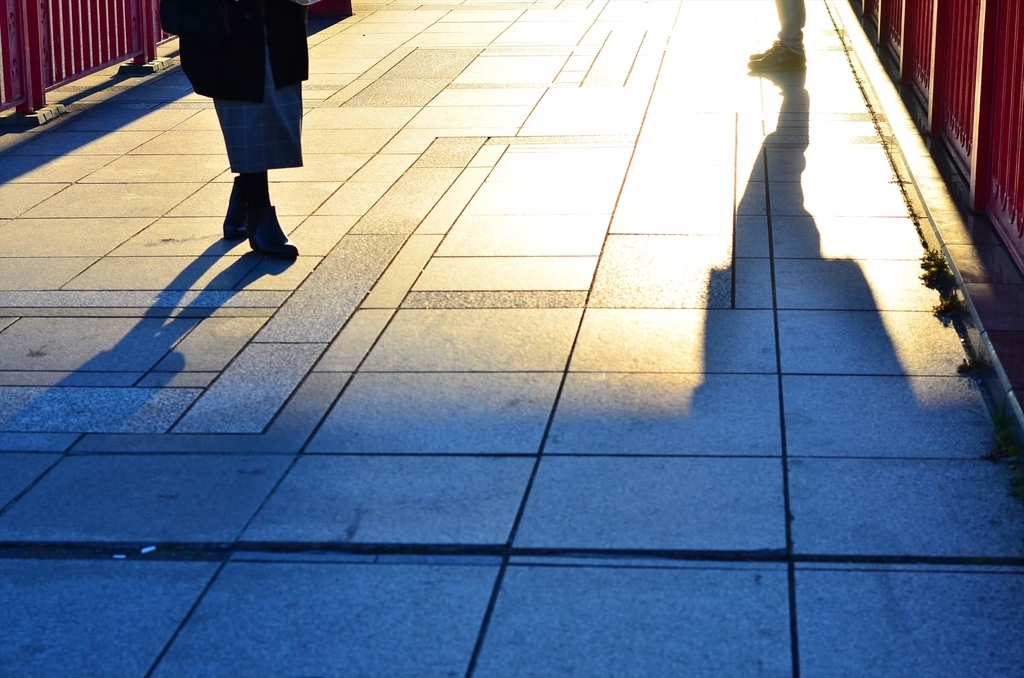 f:id:hachi-log:20190103224345j:plain