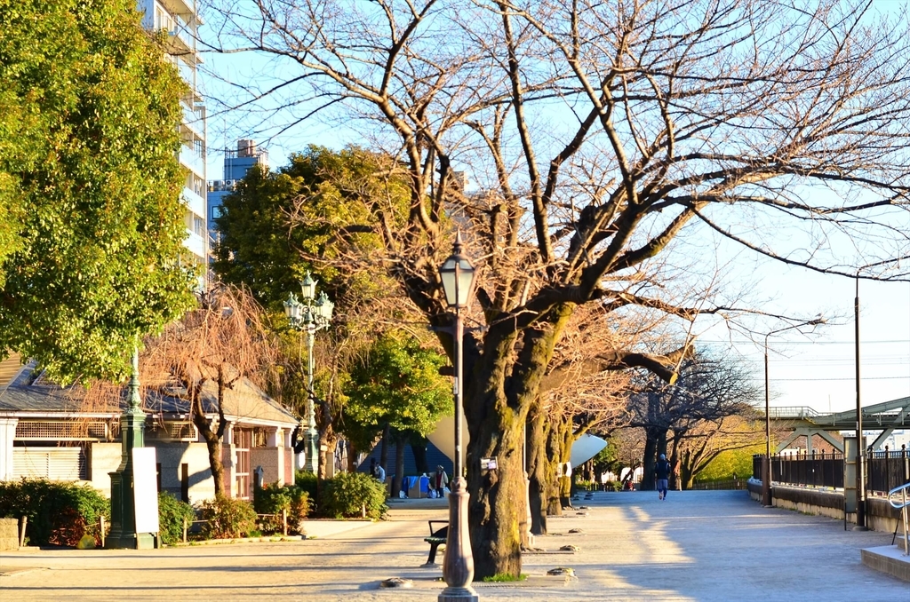 f:id:hachi-log:20190103224432j:plain