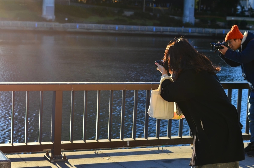 f:id:hachi-log:20190103224502j:plain
