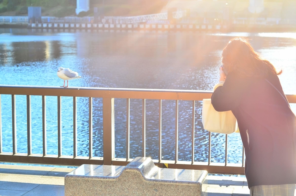 f:id:hachi-log:20190103224508j:plain