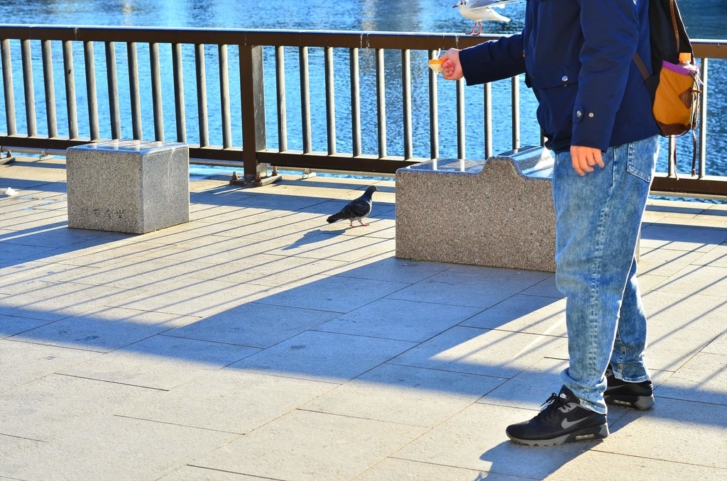 f:id:hachi-log:20190103224602j:plain